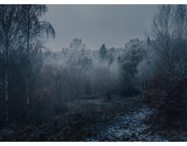 Svadobný fotograf Prešov Matúš Vencúrik